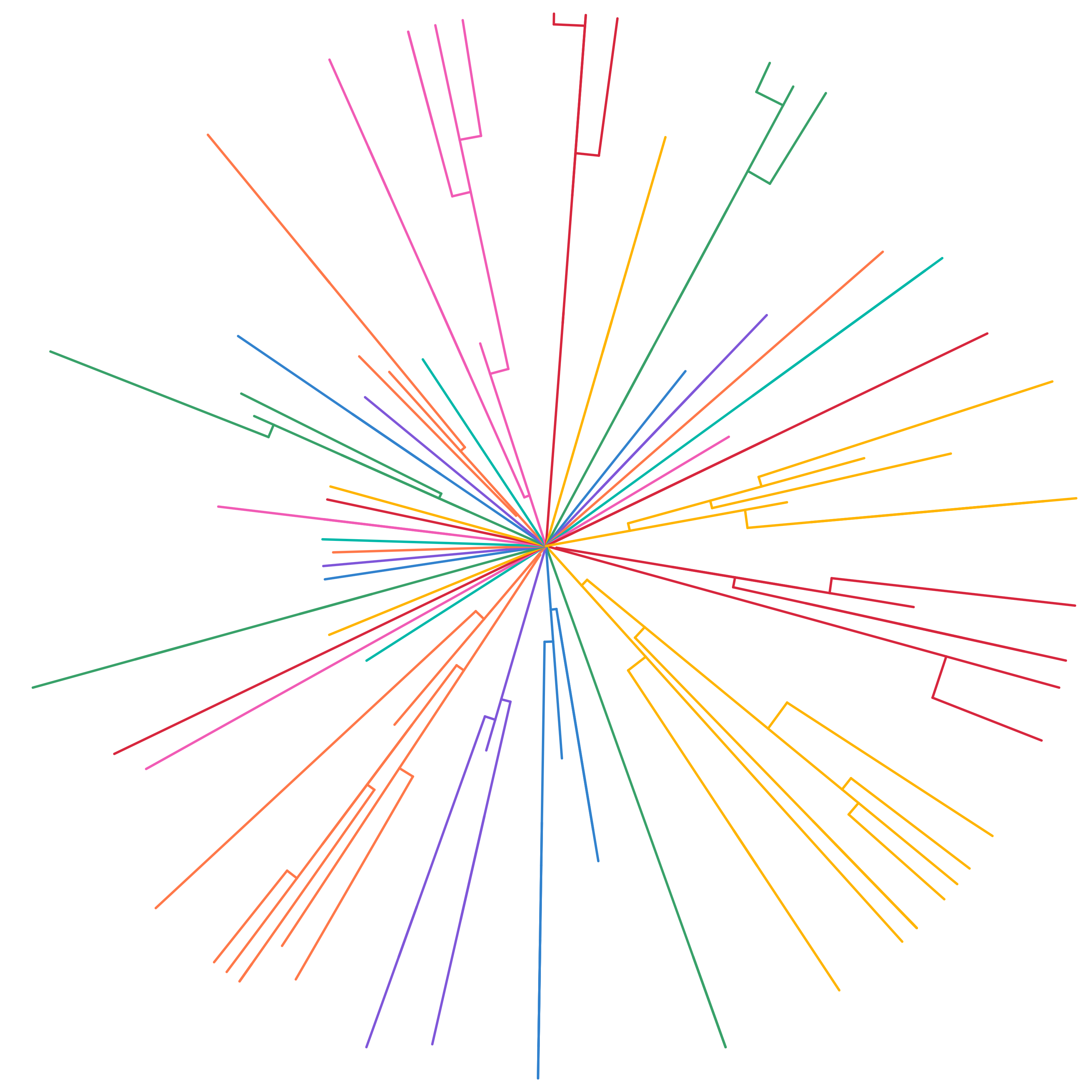 The first interation of the radial family tree.