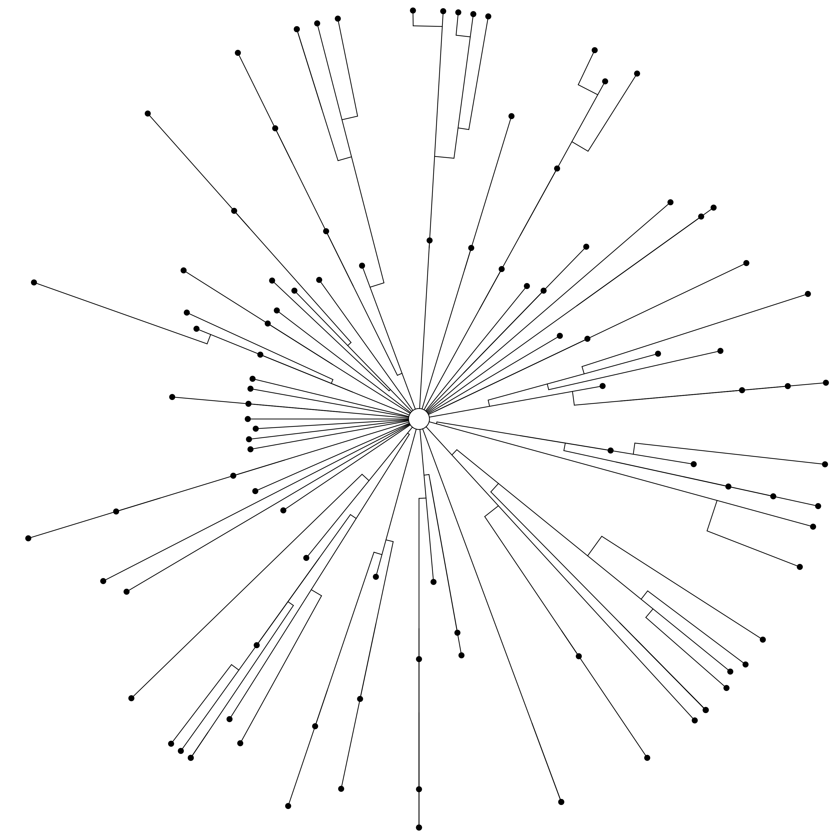 Radial evolutionary tree visualization