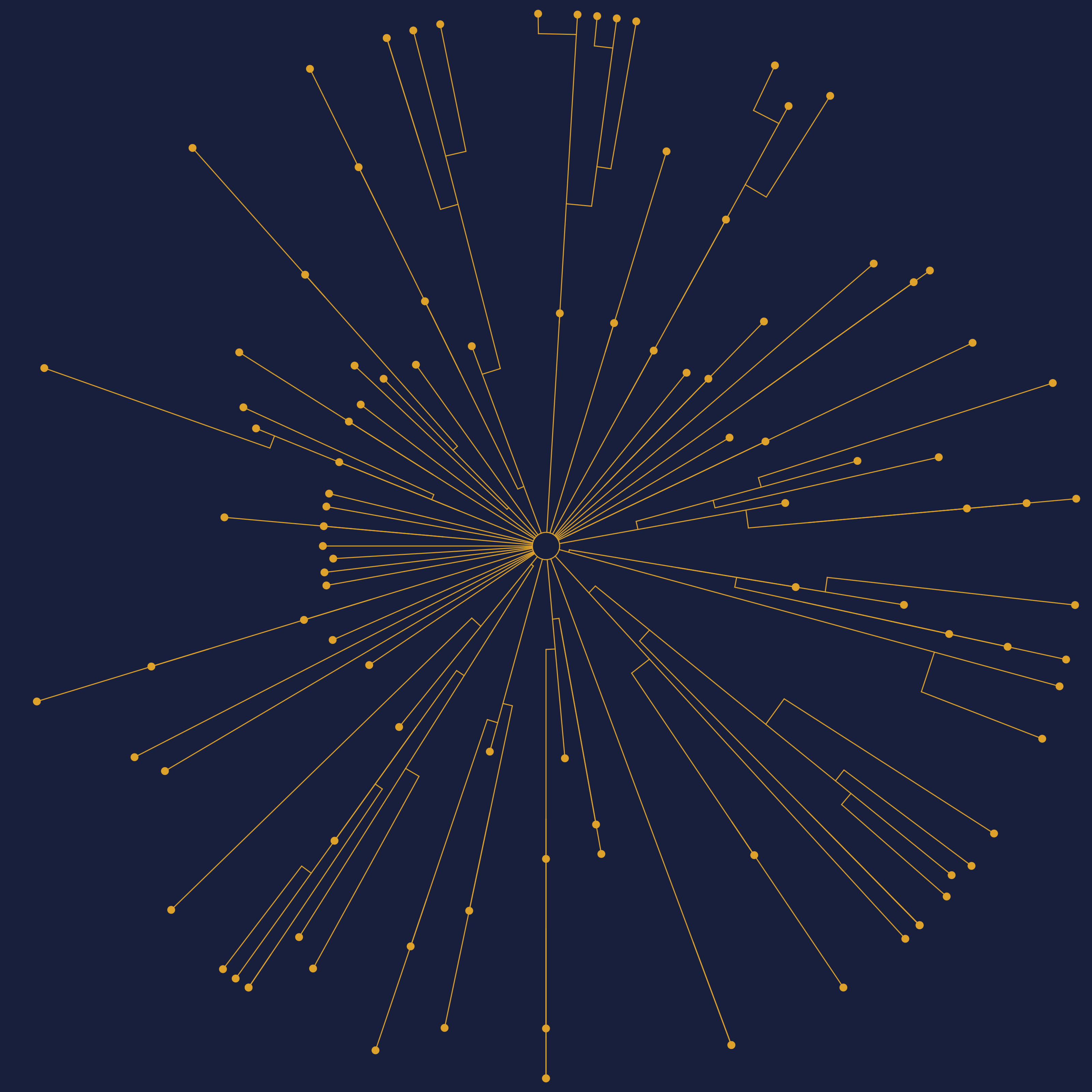 Second iteration of the radial family tree